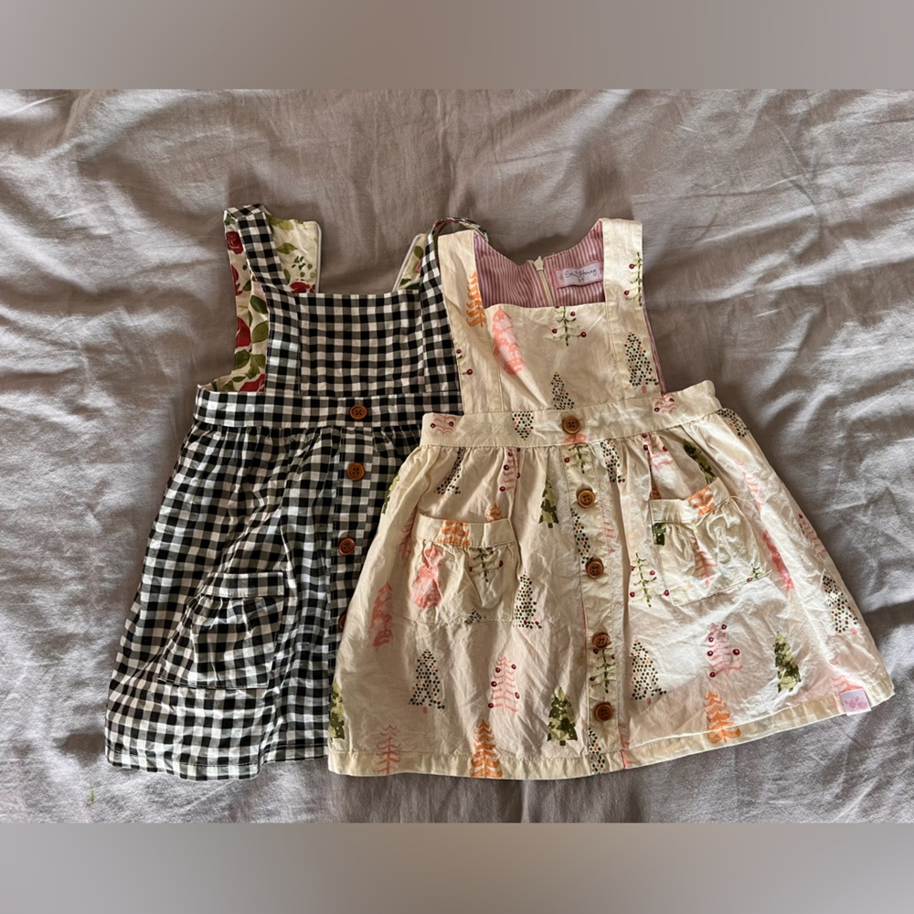 2 3T Sweet Honey dresses- so darling & in perfect condition. Girls outgrew
